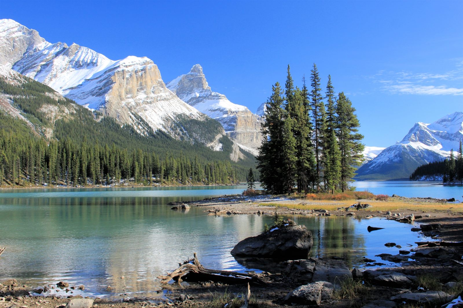 Small pine-covered island in a turquoise mountain lake below snow-capped peaks in the Canadian Rockies